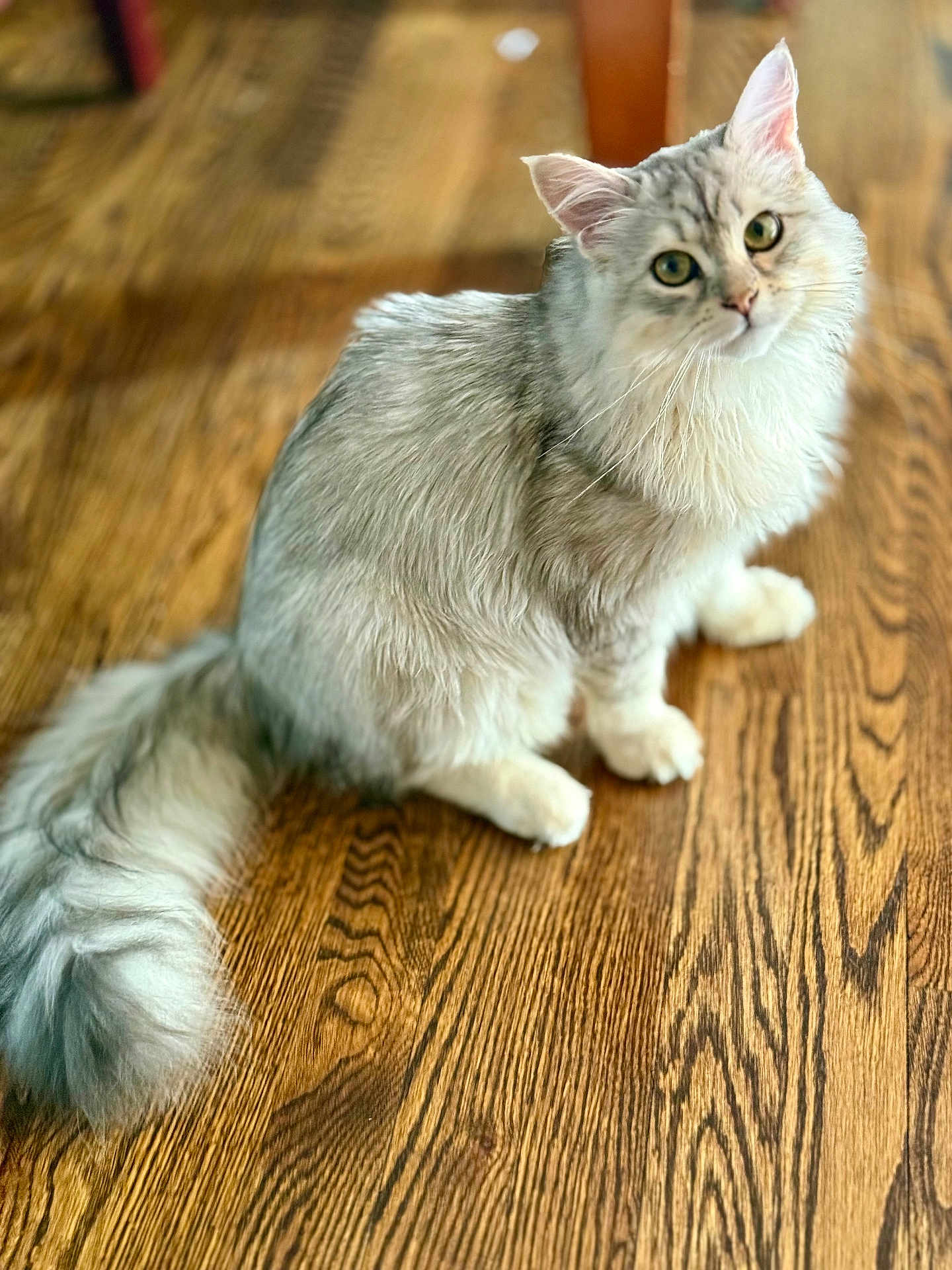Ezra