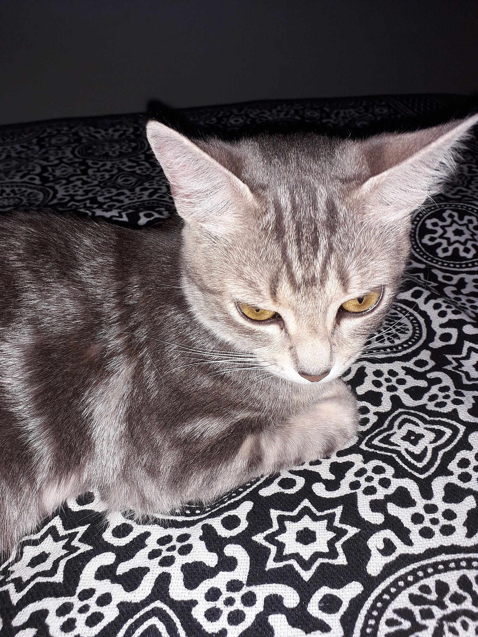 Dina