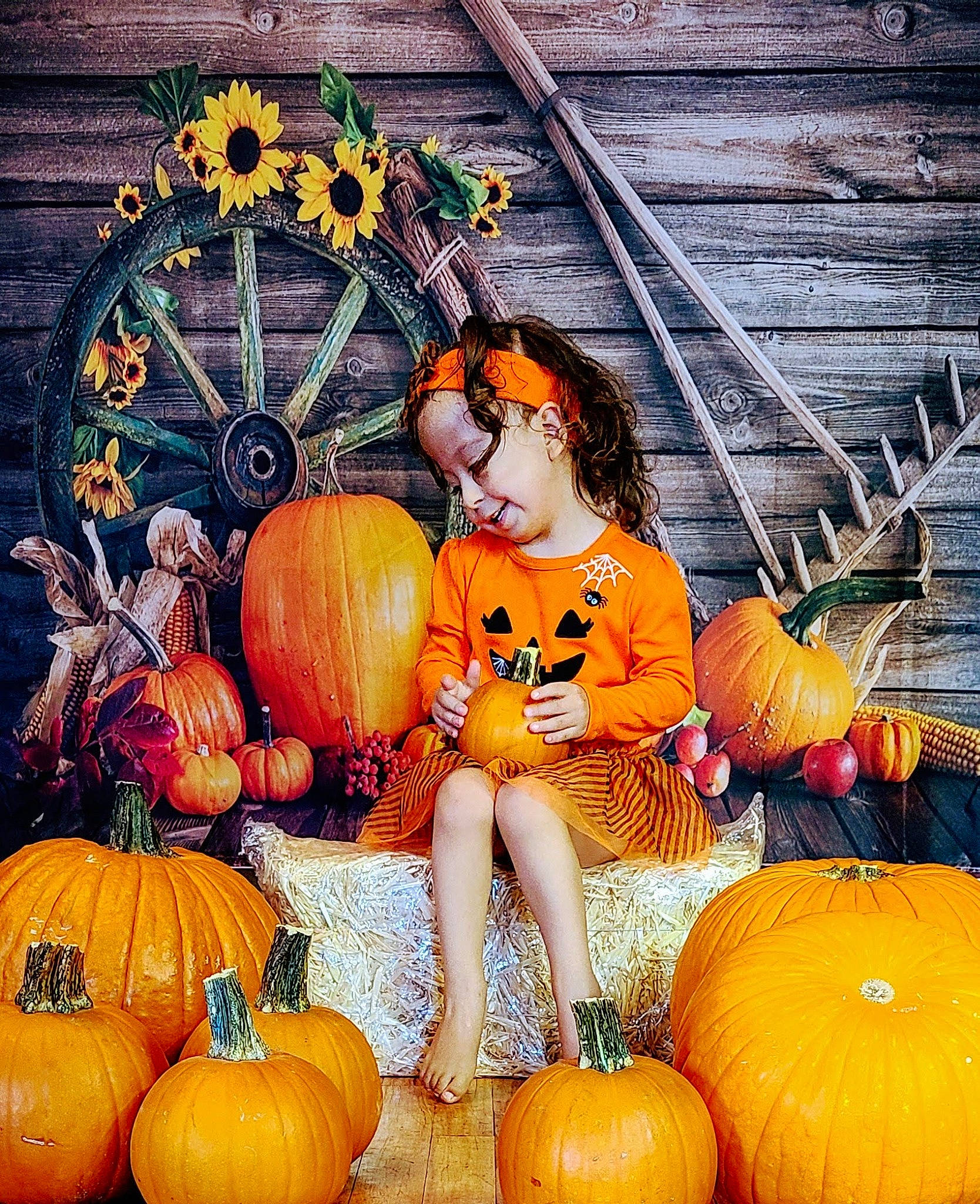 Ayanna is registered to the contest to win money with this photo: _and_melon_family, _gourd, calabaza, creative_arts, cucumber, cucurbita, eye, facial_expression, gourd, grass, happy, local_food, natural_foods, orange, organ, person, plant, pumpkin, squash, tradition