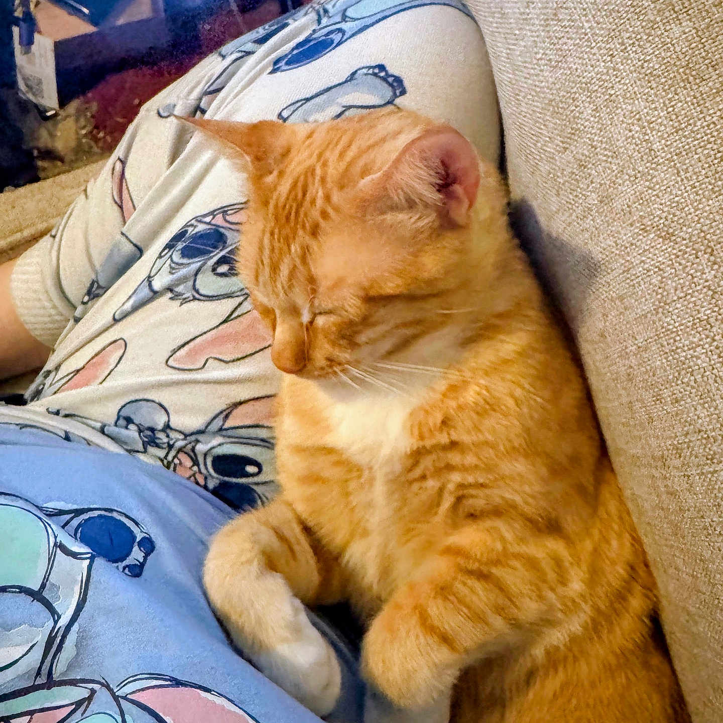 Garfield joined the competition — help win amazing prizes! cat, orange_tabby, sleeping, pajamas, cartoon_print, lap, couch, indoor, cozy, relaxed, pet, fur, whiskers, resting, comfort, domestic_animal, cute, feline, home, animal