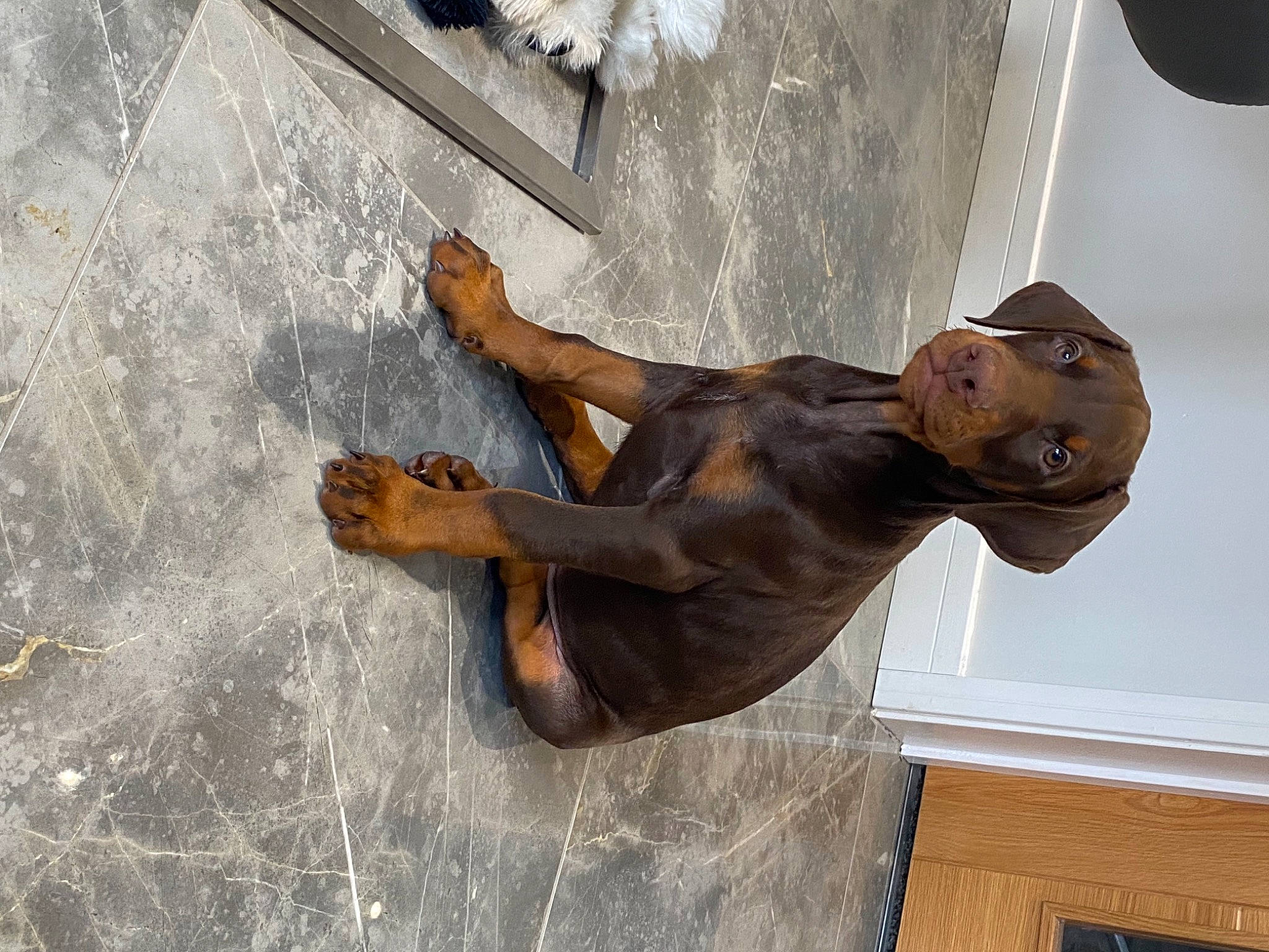 Marty is registered to the contest to win money with this photo: adventure, art, cement, concrete, elbow, fun, human_leg, metal, plaster, religious_item, sculpture, shadow, statue, visual_arts, water, wood