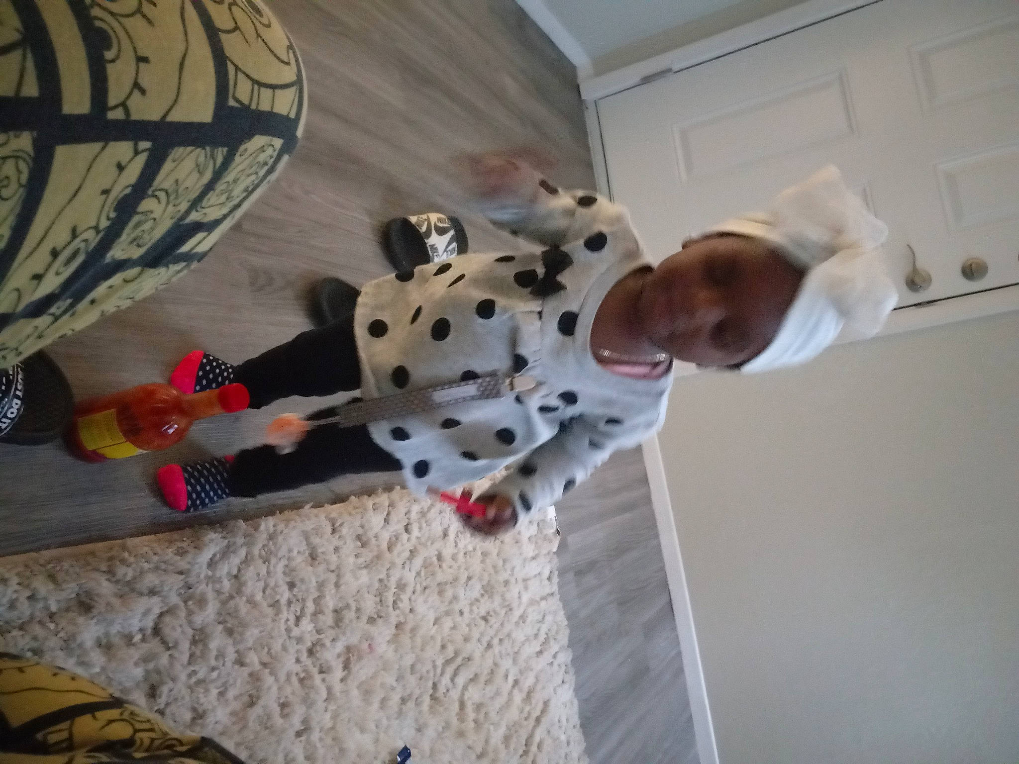 Aavanna joined the competition — help win amazing prizes! adventure, baby, canidae, carmine, ceiling, climbing, concrete, dog, floor, flooring, fun, leisure, pattern, person, recreation, room, sport_climbing, sporting_group, stuffed_toy, toddler