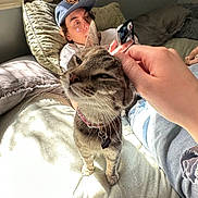 Jinx joined the competition — help win amazing prizes! cat, person, bed, pillow, phone, hat, glasses, sunlight, collar, hand, whiskers, blanket, indoor, cozy, pet, scratching, smartphone, window, relaxing, portrait