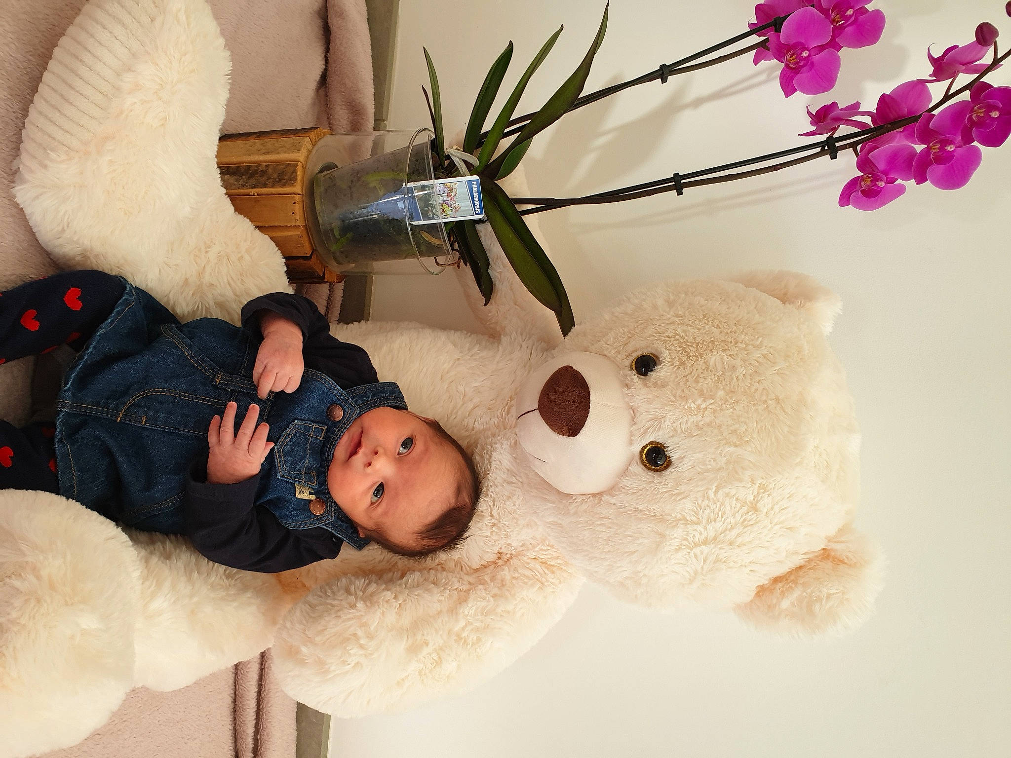 Kara a rejoint le concours — aidez-le/la à gagner de superbes lots ! happy, person, plush, stuffed_toy, teddy_bear