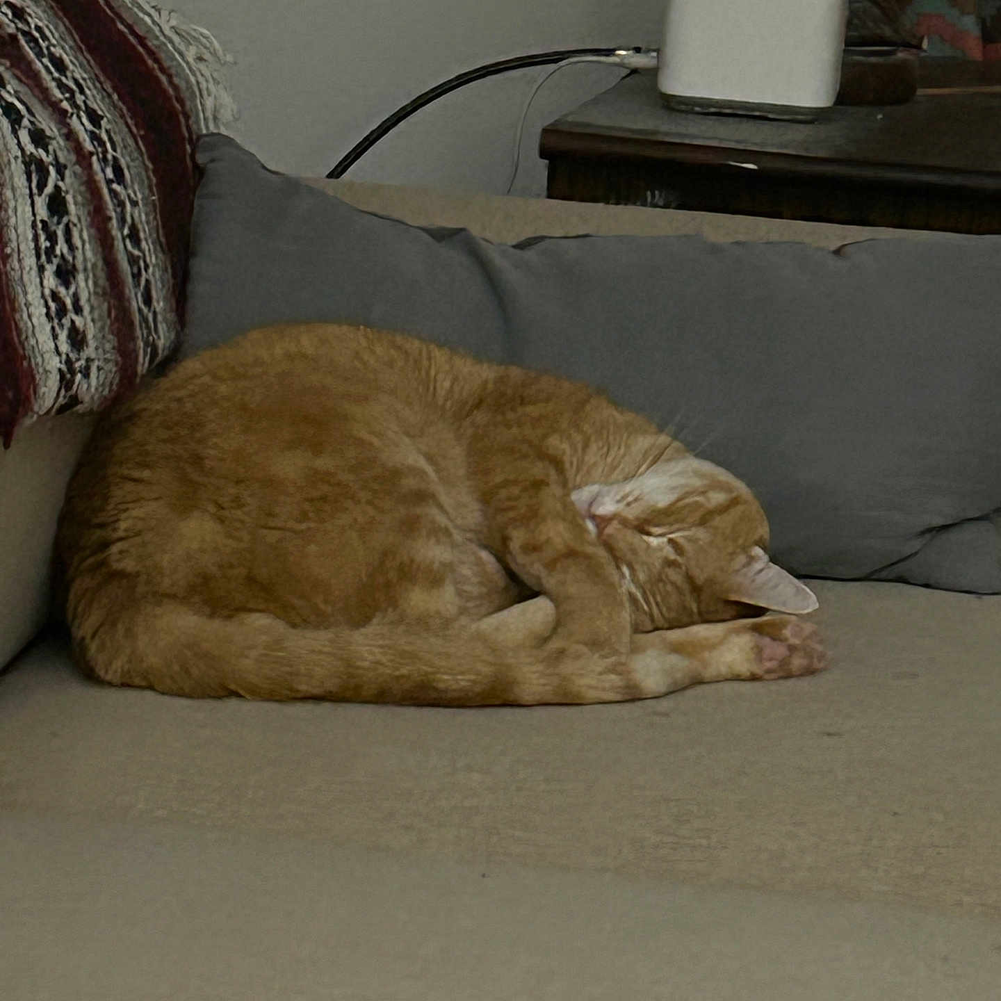 Tomus joined the competition — help win amazing prizes! cat, orange_tabby, sleeping, couch, pillow, blanket, furniture, indoor, resting, pet, cozy, home, side_table, curtain, domestic_animal, feline, relaxing, animal, living_room, nap