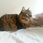 Poupi participe au concours pour gagner de l'argent avec cette photo :