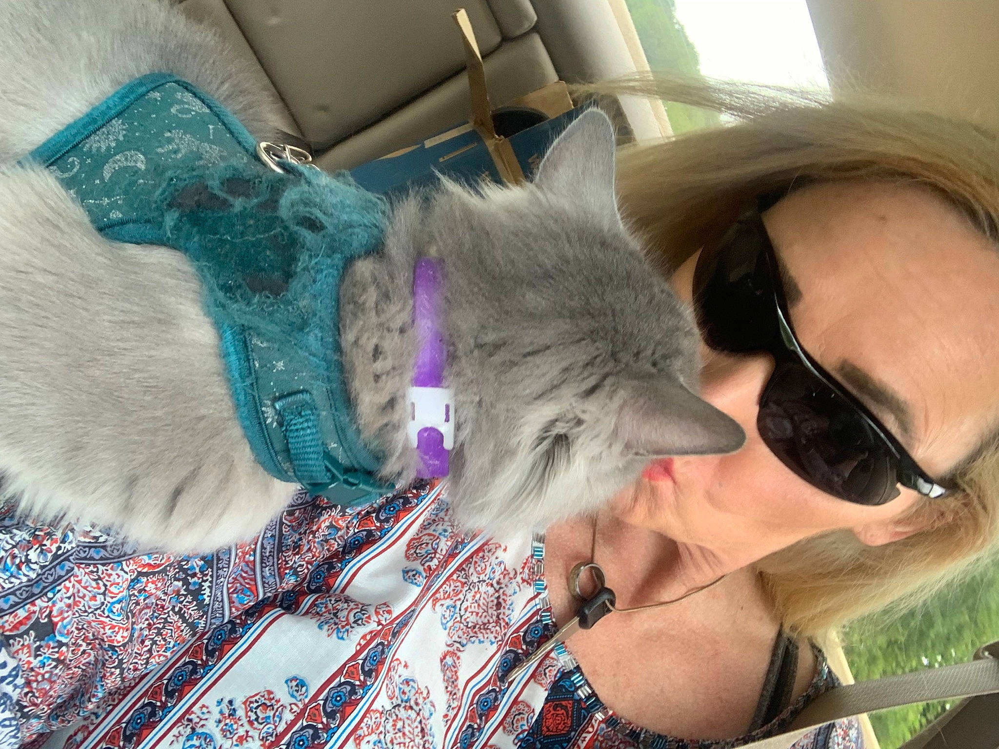 Miss Wilis is registered to the contest to win money with this photo: beard, carnivore, cat, comfort, domestic_short_haired_cat, eyewear, fawn, felidae, fur, goggles, nap, pattern, selfie, small_to_medium_sized_cats, snout, sun_hat, sunglasses, vision_care, whiskers, window
