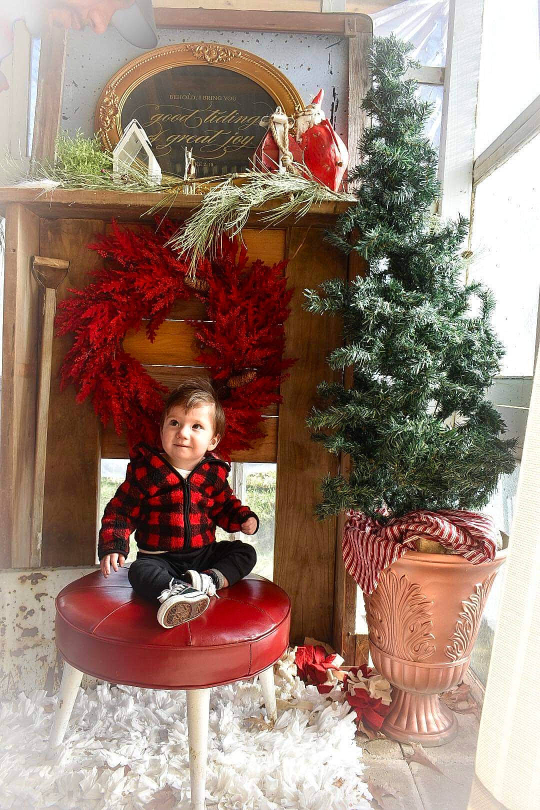 Vincent is registered to the contest to win money with this photo: chair, christmas_decoration, christmas_tree, conifer, event, evergreen, flowerpot, holiday, houseplant, jacket, ornament, person, plant, red, sitting, smile, toddler, tree, window, winter
