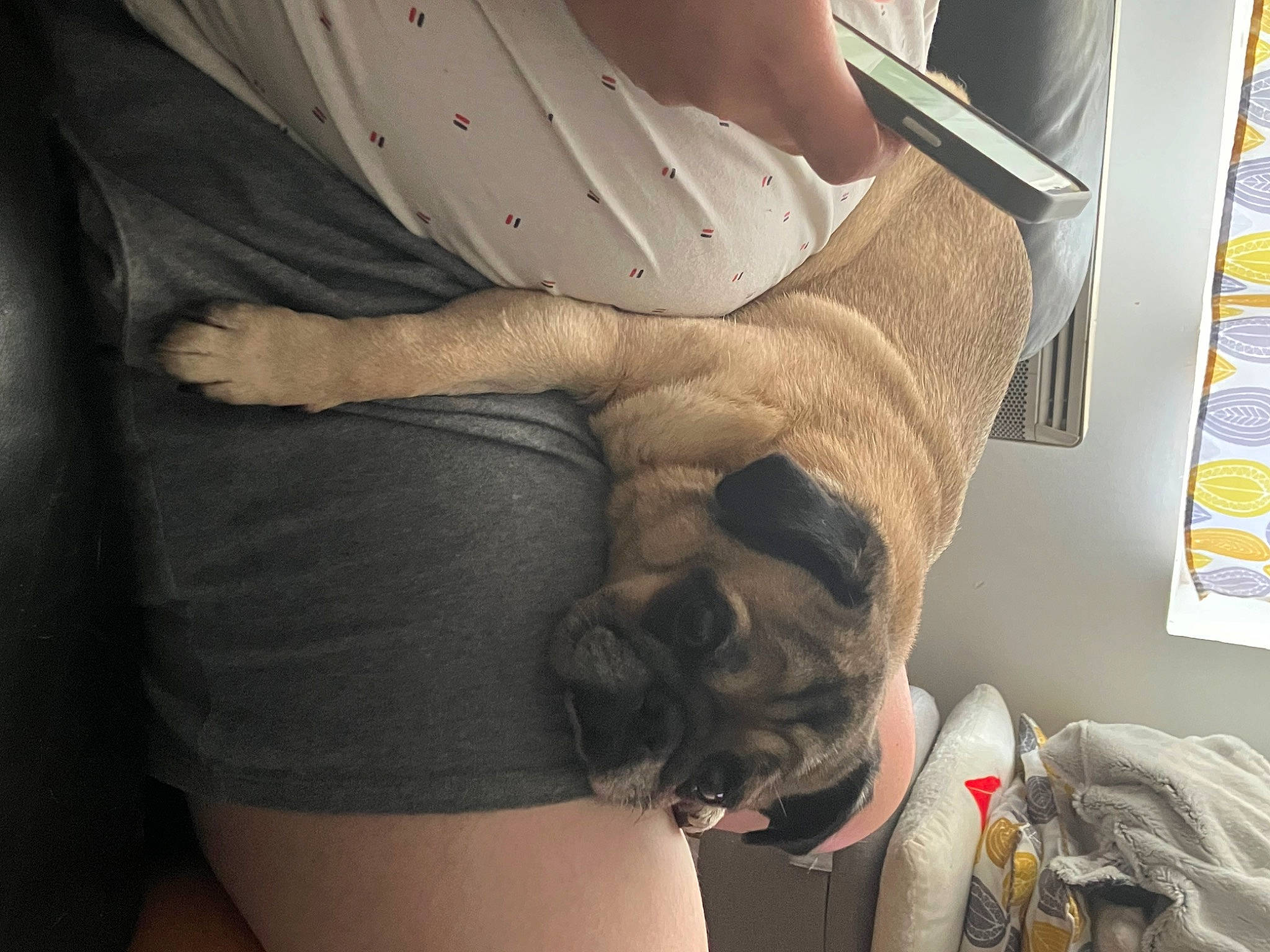 Jaouen a rejoint le concours — aidez-le/la à gagner de superbes lots ! abdomen, chest, comfort, elbow, foot, human_leg, joint, knee, leg, neck, picture_frame, shorts, sleeve, sportswear, sunglasses, thigh, trunk, waist, wrist, yellow