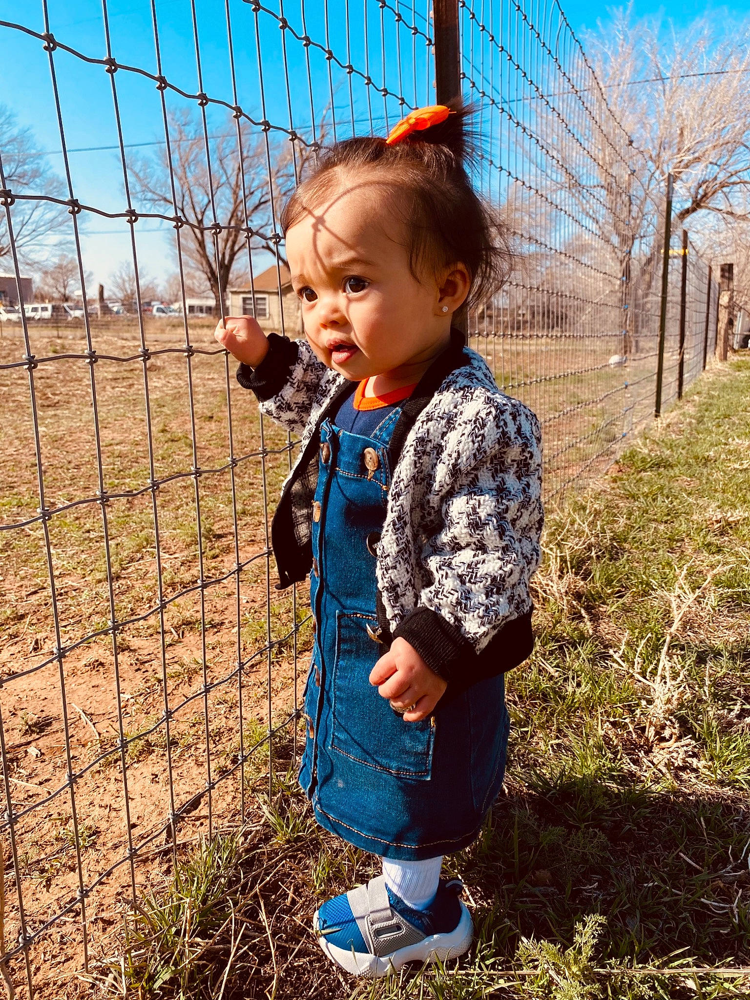 Deborah is registered to the contest to win money with this photo: baby_toddler_clothing, chain_link_fencing, clothing, electric_blue, face, fence, field, grass, grass_family, grassland, happy, landscape, leaf, mesh, people_in_nature, person, plant, sky, toddler, tree