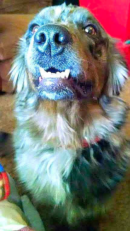 Pepper joined the competition — help win amazing prizes!