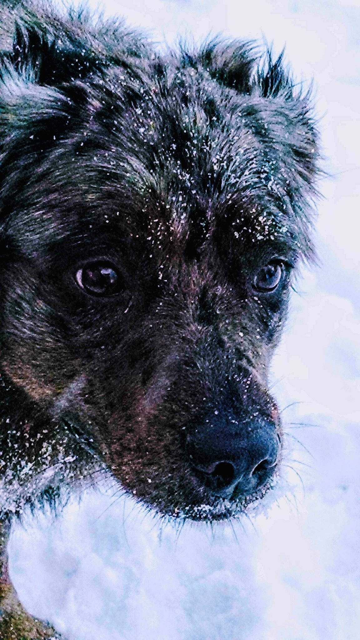 Pepper joined the competition — help win amazing prizes!