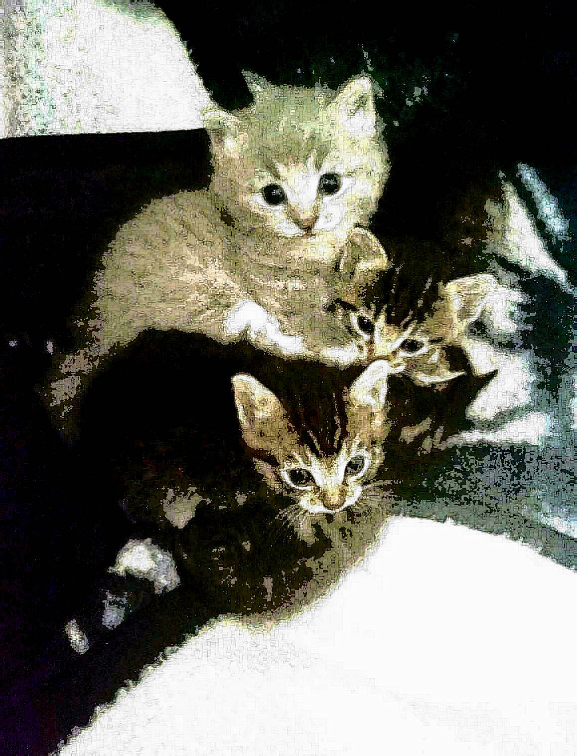 Baby is registered to the contest to win money with this photo: