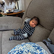 Mateo joined the competition — help win amazing prizes! baby, infant, striped_clothing, couch, gray_couch, cat, fluffy_cat, wooden_table, books, remote_control, pillow, blue_pillow, living_room, indoor, person, pet, furniture, relaxed, cozy, home