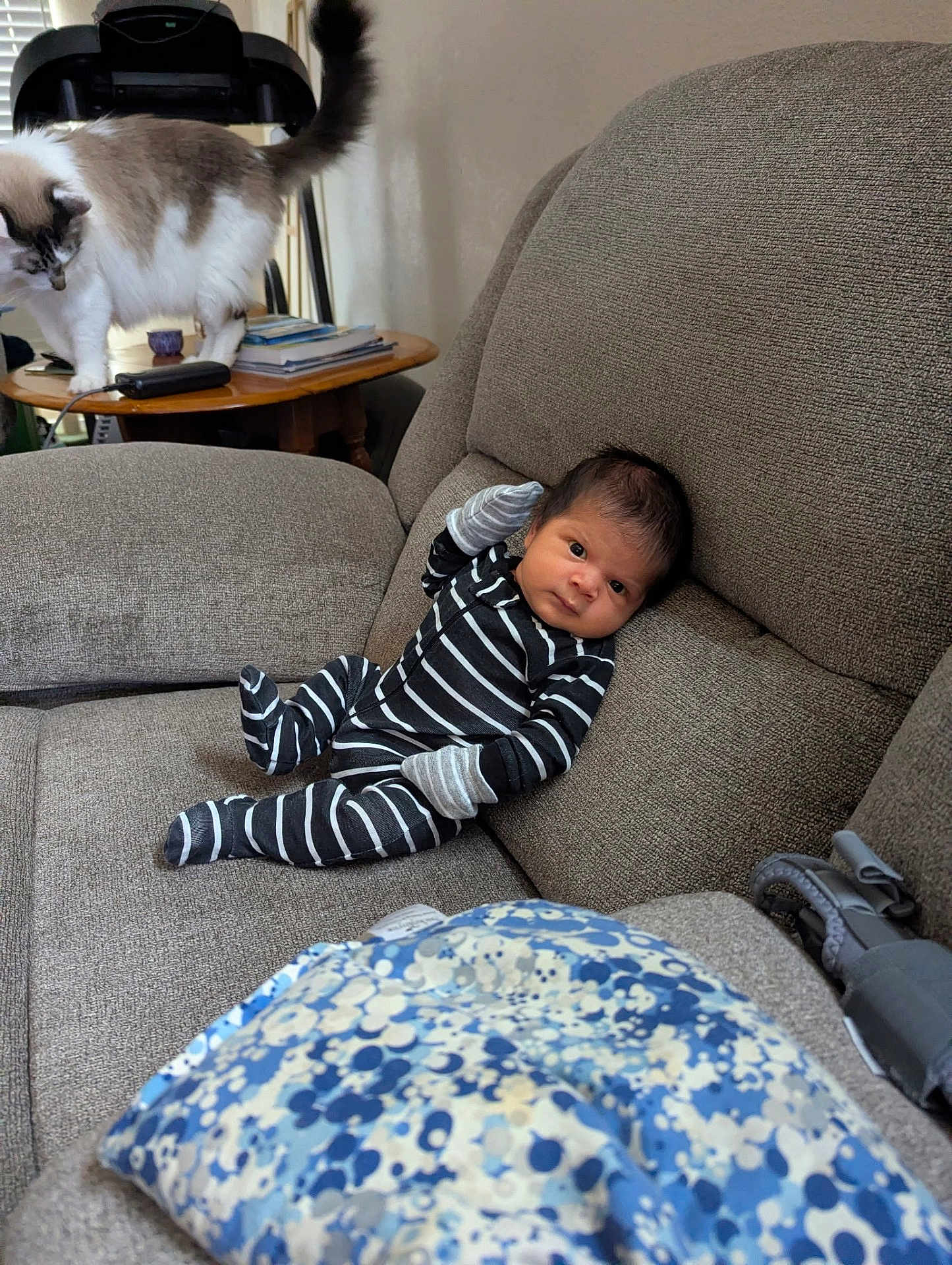 Mateo joined the competition — help win amazing prizes! baby, infant, striped_clothing, couch, gray_couch, cat, fluffy_cat, wooden_table, books, remote_control, pillow, blue_pillow, living_room, indoor, person, pet, furniture, relaxed, cozy, home