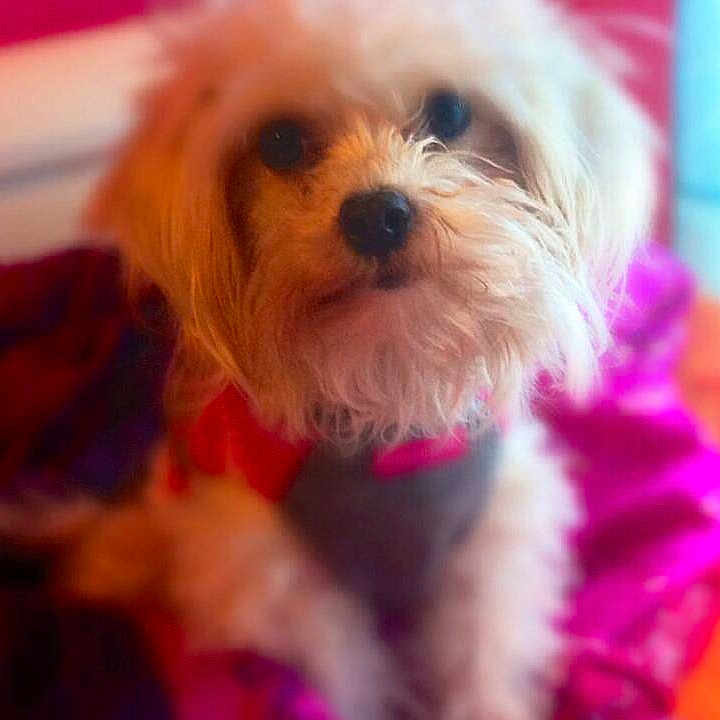 Mia joined the competition — help win amazing prizes!