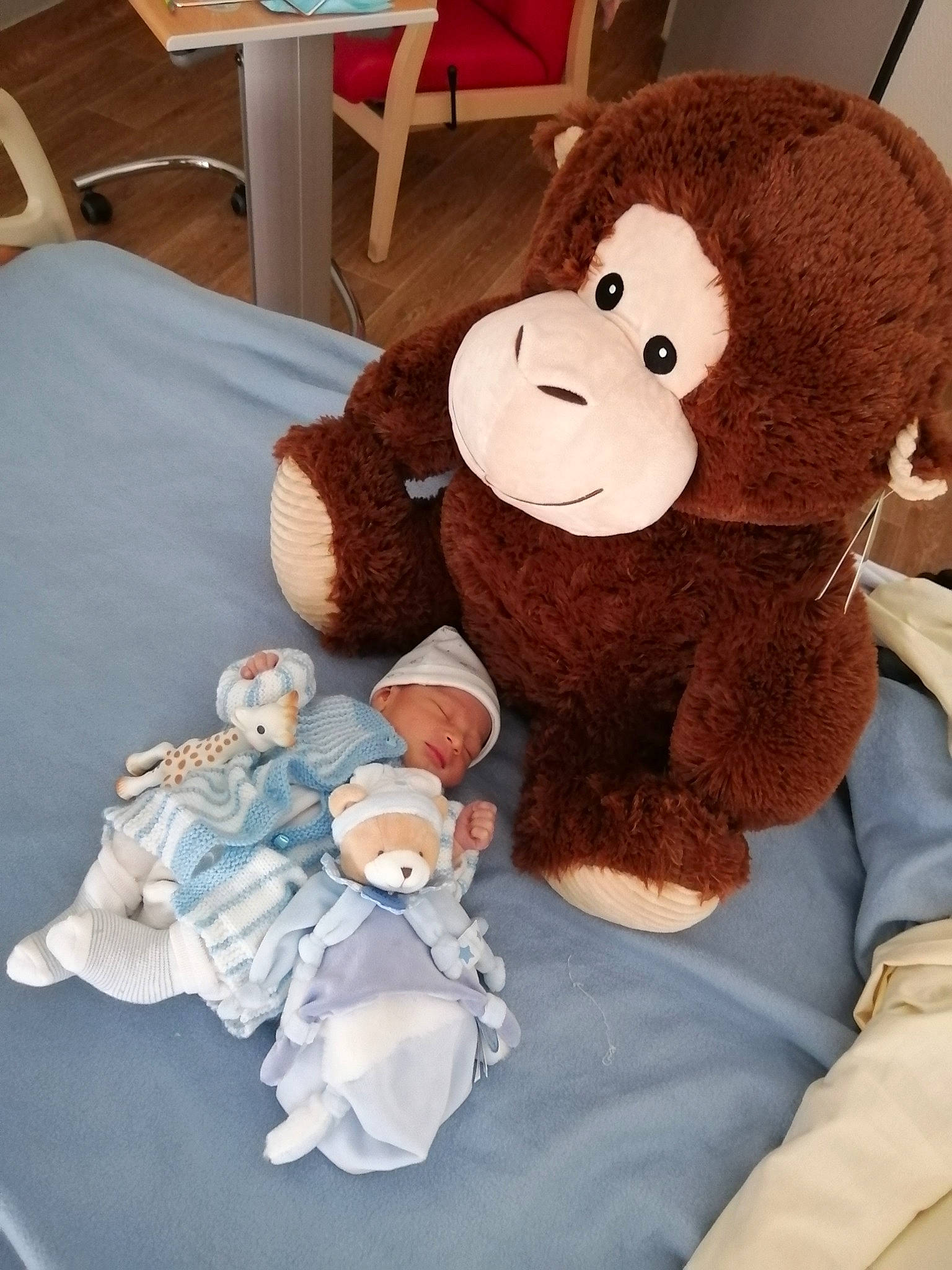 Mayron a rejoint le concours — aidez-le/la à gagner de superbes lots ! baby_products, baby_toys, chair, child, comfort, fur, icing, linens, person, plush, primate, room, ruffle, snout, stuffed_toy, sugar_paste, teddy_bear, terrestrial_animal, textile, toy