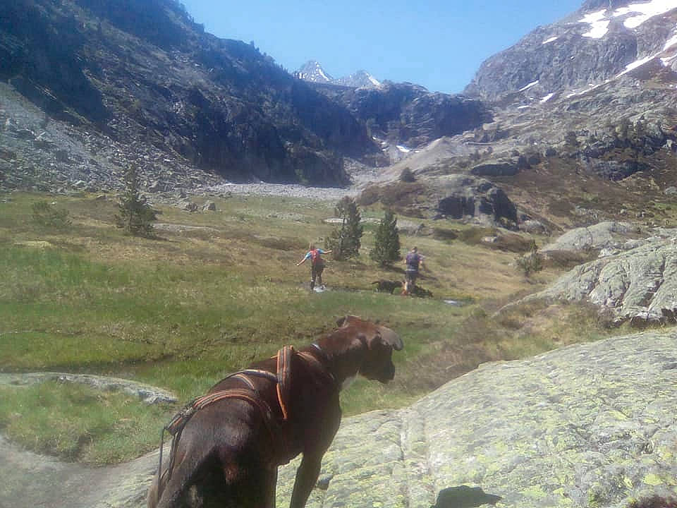 Kalane participe au concours pour gagner de l'argent avec cette photo : alps, fell, highland, hill, hill_station, horse, landscape, mountain, mountain_pass, mountain_range, mountainous_landforms, pack_animal, pasture, ranch, trail_riding, valley, wilderness, wildlife, working_animal