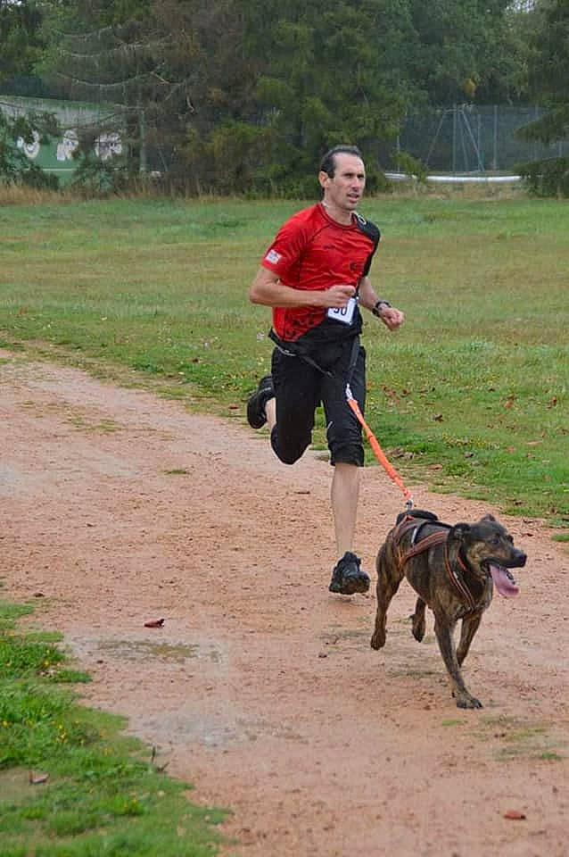 Mystic participe au concours pour gagner de l'argent avec cette photo : animal_sports, cani_cross, canidae, carnivore, dog, dog_breed, dog_sports, dog_walking, hunting_dog, jogging, leash, recreation, running, sporting_group, sports