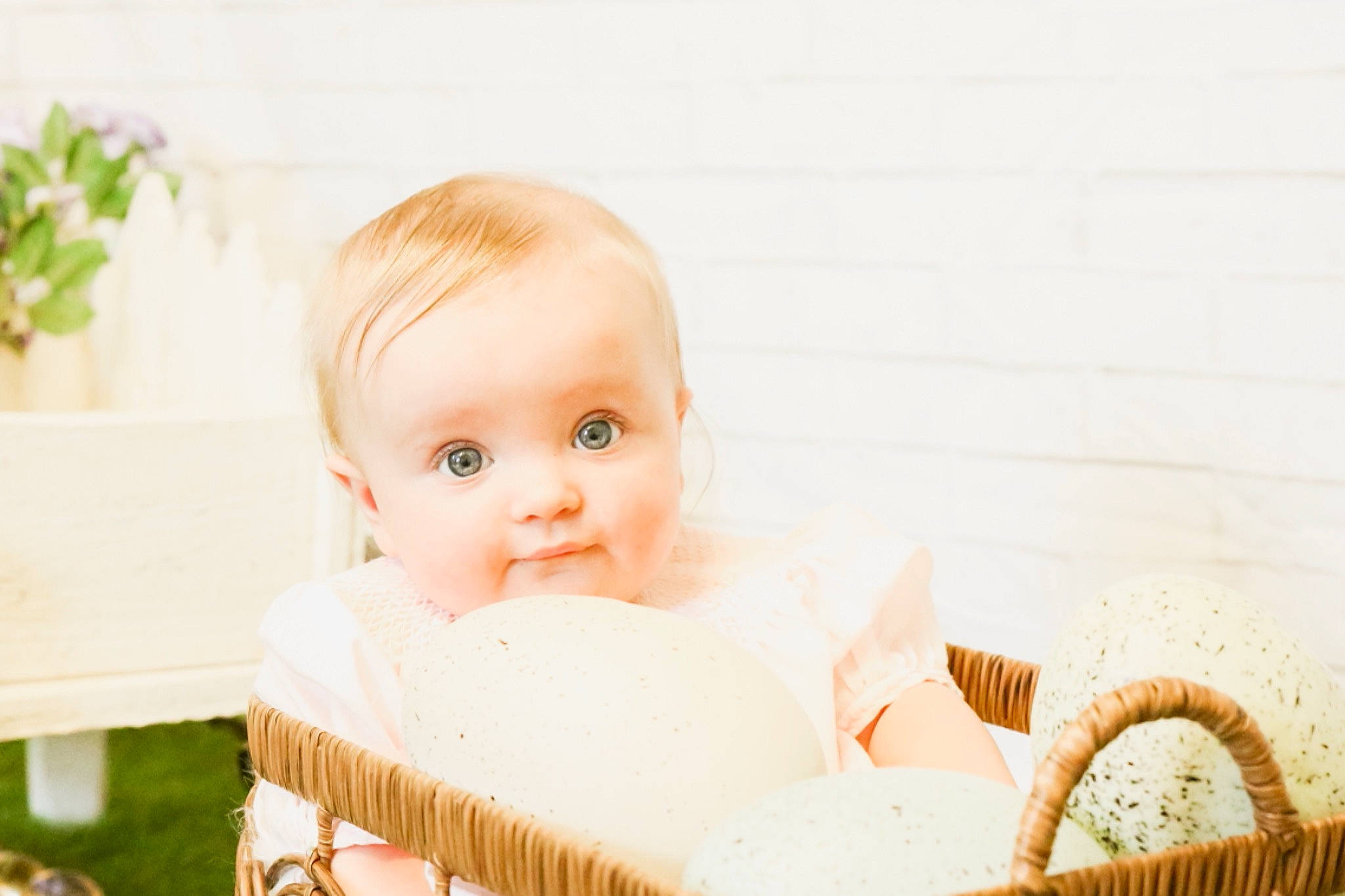 Elle is registered to the contest to win money with this photo: baby, baby_safety, baby_toddler_clothing, basket, child, comfort, flowerpot, fun, happy, houseplant, infant_bed, iris, person, picnic_basket, plant, product, sitting, storage_basket, sweetness, toddler