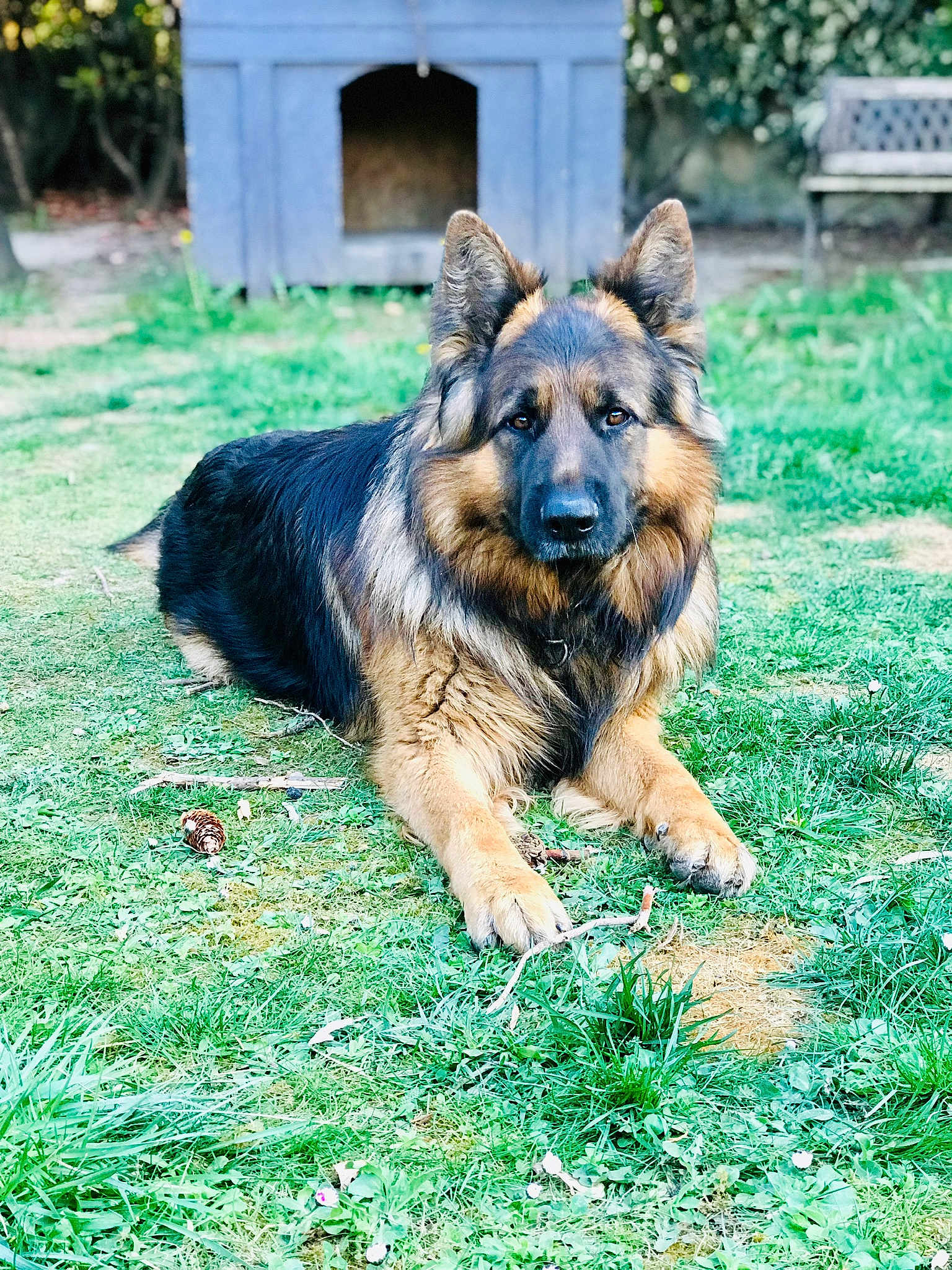 Max