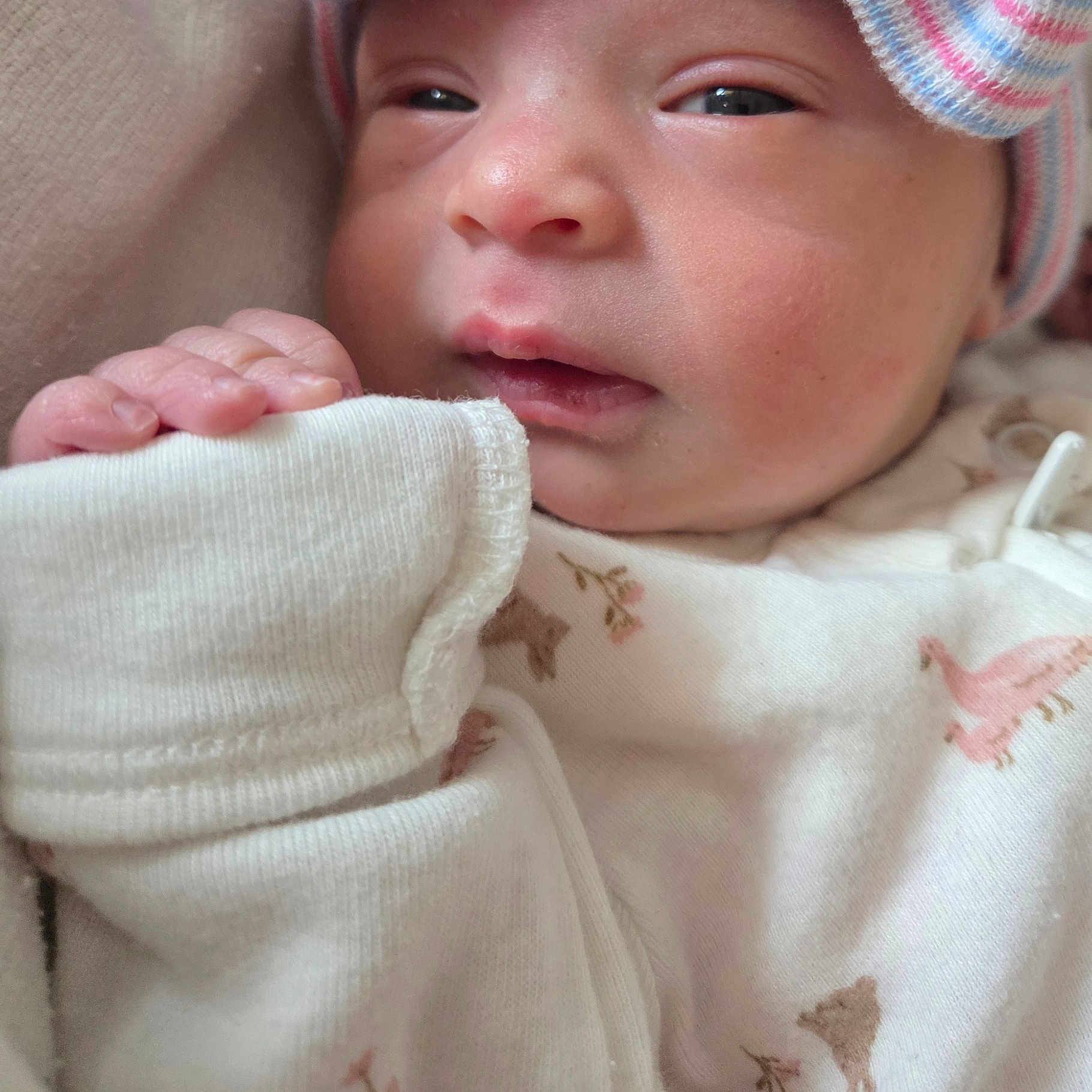 Luv'Mii joined the competition — help win amazing prizes! baby, blanket, bodypart, bonnet, cap, clothing, coat, face, finger, hand, hat, head, knitwear, newborn, person, photography, portrait, quilt, sleeping, sweater