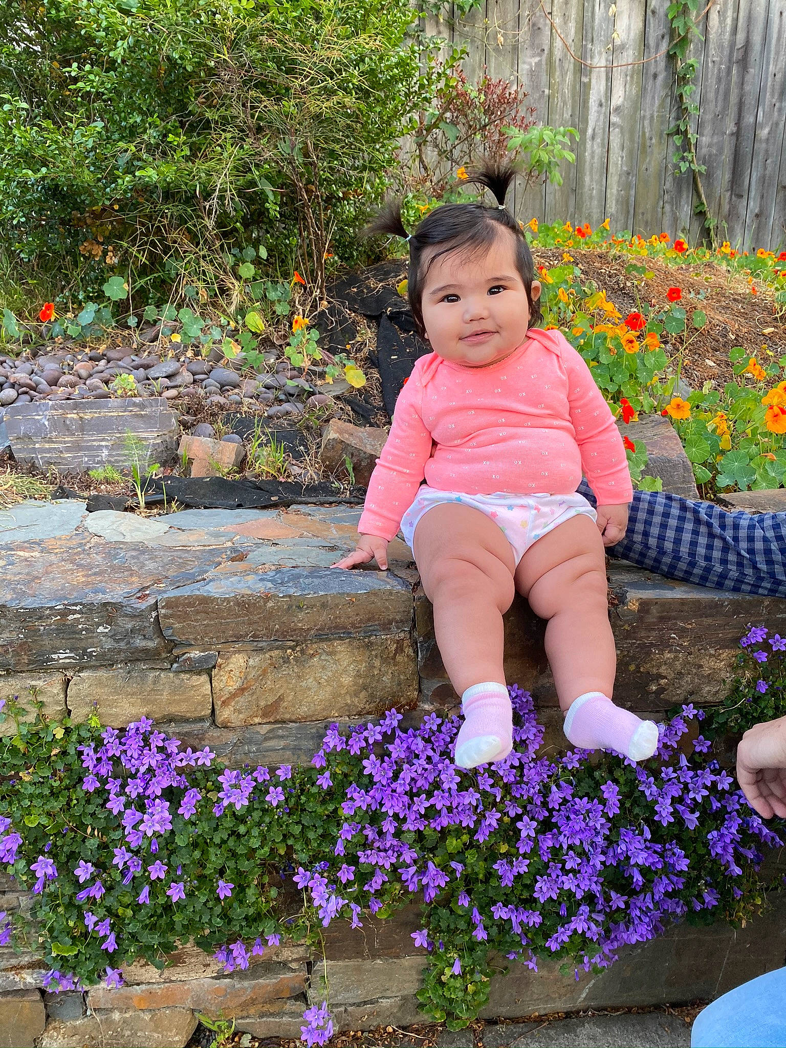 Irie is registered to the contest to win money with this photo: annual_plant, botany, child, flower, garden, groundcover, iris, joy, lavender, lupin, perennial_plant, person, plant, purple, spring, toddler, viola, violet_family, wildflower