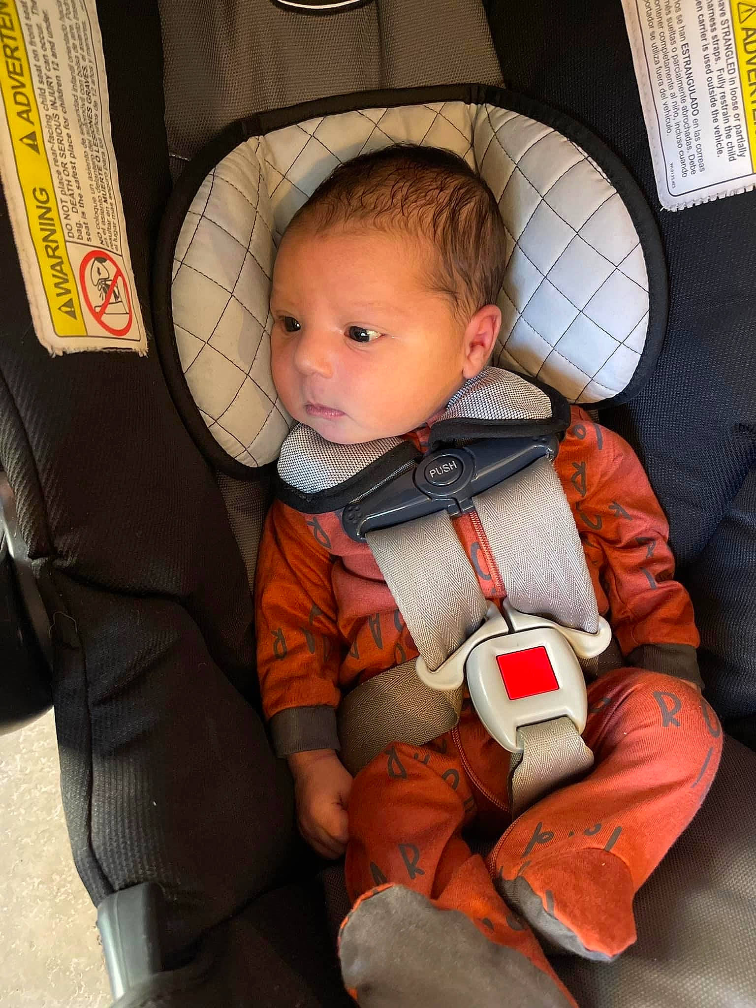 Emery joined the competition — help win amazing prizes! auto_part, baby, baby_carriage, baby_in_car_seat, baby_products, baby_toddler_clothing, bag, car_seat, car_seat_cover, chair, child, comfort, lap, leg, mammal, orange, person, personal_protective_equipment, seat_belt, sitting