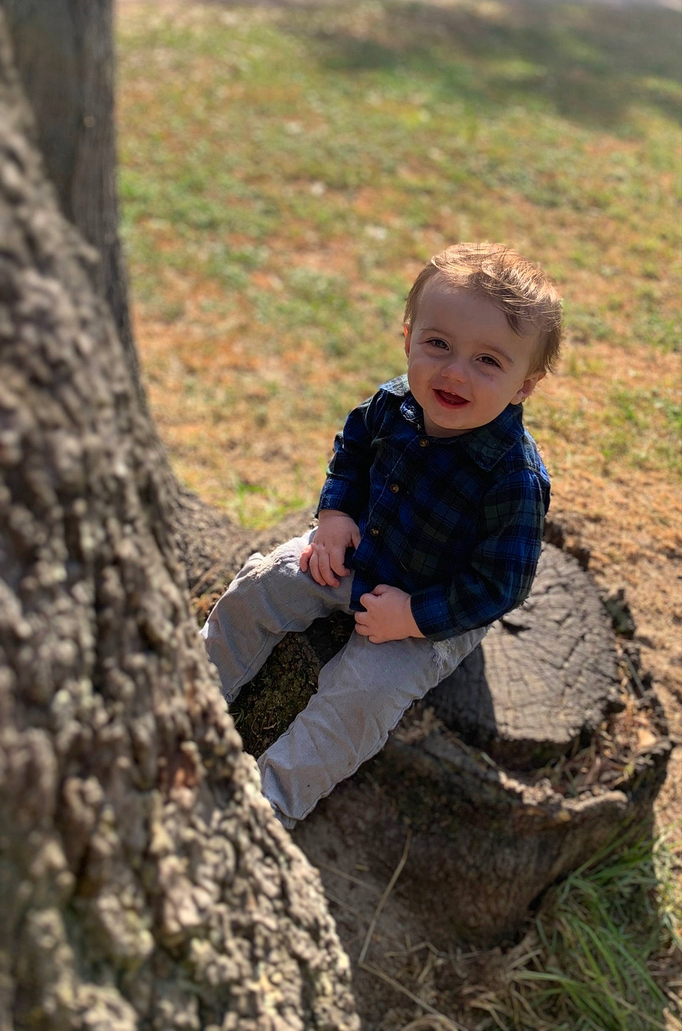 Joseph Jr. joined the competition — help win amazing prizes! baby, baby_toddler_clothing, child, forest, fun, grass, happy, head, leaf, leisure, people_in_nature, person, plant, sitting, soil, toddler, tree, trunk, twig, wilderness