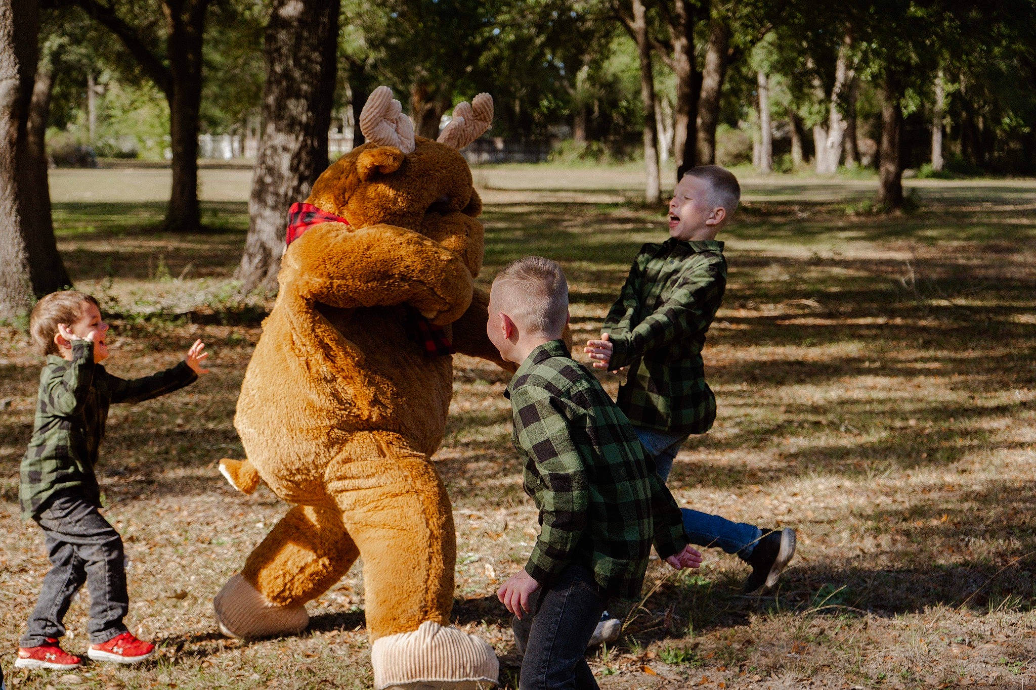 Zaid joined the competition — help win amazing prizes! boot, child, fun, fur, grass, happy, hat, jeans, landscape, leaf, leisure, people_in_nature, person, plant, play, recreation, sneakers, soil, soldier, toddler