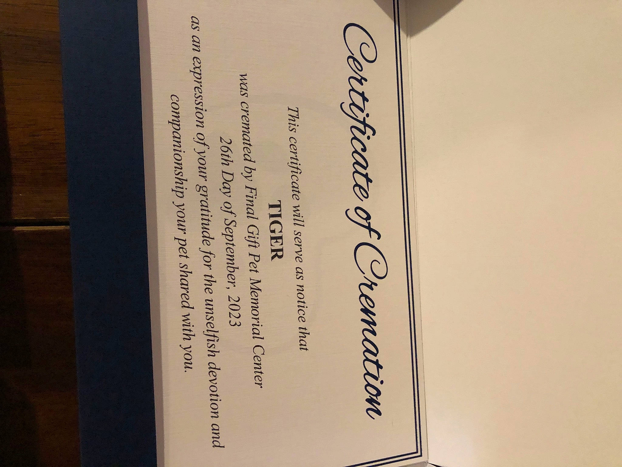 Tiger joined the competition — help win amazing prizes! brand, font, magenta, plant, rectangle, wood