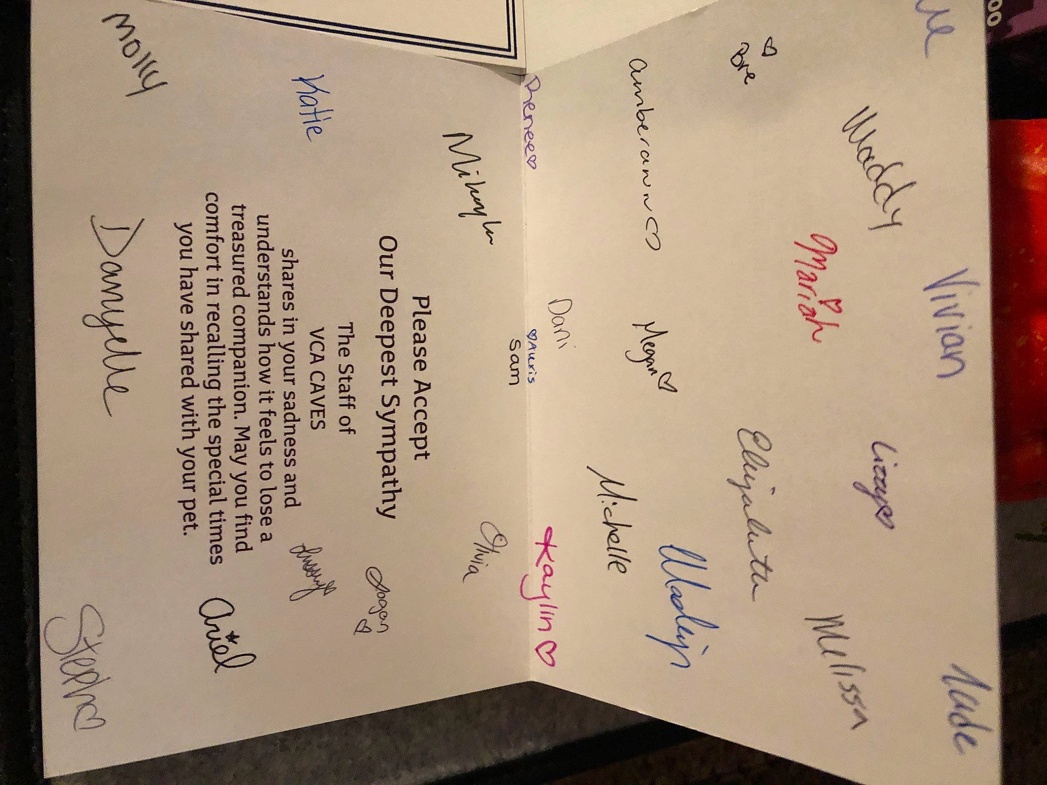 Tiger joined the competition — help win amazing prizes! art, calligraphy, carmine, document, event, font, handwriting, ink, material_property, paper, paper_product, pattern, rectangle, stationery, tree, visual_arts, wood, writing