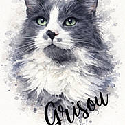Grisou Et Blanco participe au concours pour gagner de l'argent avec cette photo : cat, watercolor, portrait, painting, fluffy, gray, white, green_eyes, art, illustration, animal, pet, whiskers, fur, face, closeup, soft_colors, background, text_overlay, name