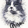 cat, watercolor, portrait, painting, fluffy, gray, white, green_eyes, art, illustration, animal, pet, whiskers, fur, face, closeup, soft_colors, background, text_overlay, name