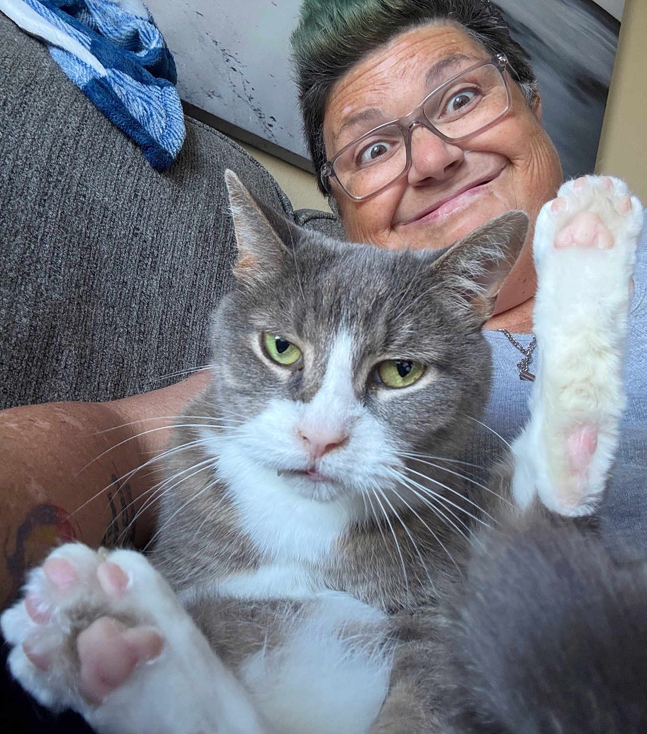 Sir Watson joined the competition — help win amazing prizes! cat, person, glasses, paw, pink_pads, gray_cat, white_cat, feline, smile, couch, indoor, closeup, pet, happy, fur, whiskers, face, hand, tattoo, relaxed