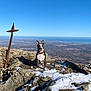 dog, mountain, snow, rock, outdoor, landscape, sky, blue_sky, nature, animal, pet, collar, view, scenic, adventure, summit, wilderness, sunny, daytime, travel