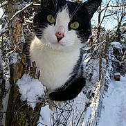 Laydi participe au concours pour gagner de l'argent avec cette photo :