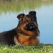 Drakar a rejoint le concours — aidez-le/la à gagner de superbes lots !