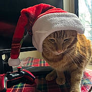 Canelo is registered to the contest to win money with this photo: cat, ginger_cat, santa_hat, holiday, christmas, table, plaid, gaming_controller, monitor, indoor, pet, feline, whiskers, paw, red, white, black, orange, cozy, cute