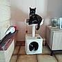 cat, cat_tree, indoor, pet, furniture, floor, tile_floor, resting, sleeping, black_cat, white_cat, household, cozy, corner, cabinet, picture_frame, toy, playful, relaxed, domestic