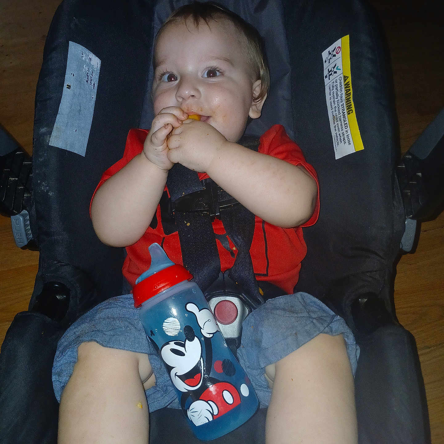 Dominic joined the competition — help win amazing prizes! baby, car_seat, child, cute, denim_shorts, face, floor, food, hands, happy, indoor, infant, legs, mickey_mouse, person, red_shirt, seat_belt, sippy_cup, smiling, snack