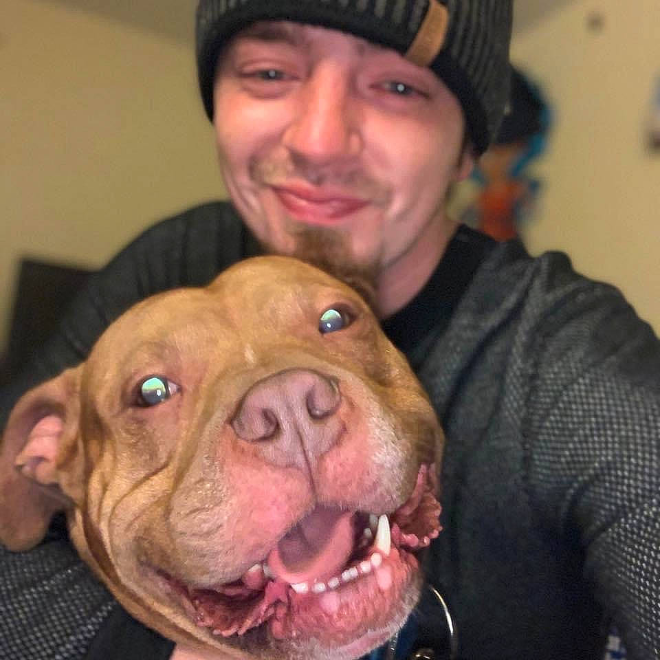 Titan is registered to the contest to win money with this photo: beard, cap, carnivore, companion_dog, dog, dog_breed, ear, fawn, jaw, knit_cap, liver, mouth, nose, organ, smile, snout, sporting_group, whiskers, working_animal, wrinkle