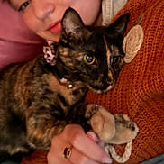 Tur is registered to the contest to win money with this photo: bell, cat, closeup, collar, comfort, cozy, cuddle, face, feline, hand, indoor, person, pet, pillow, resting, snuggle, sweater, texture, tortoiseshell_cat, warm
