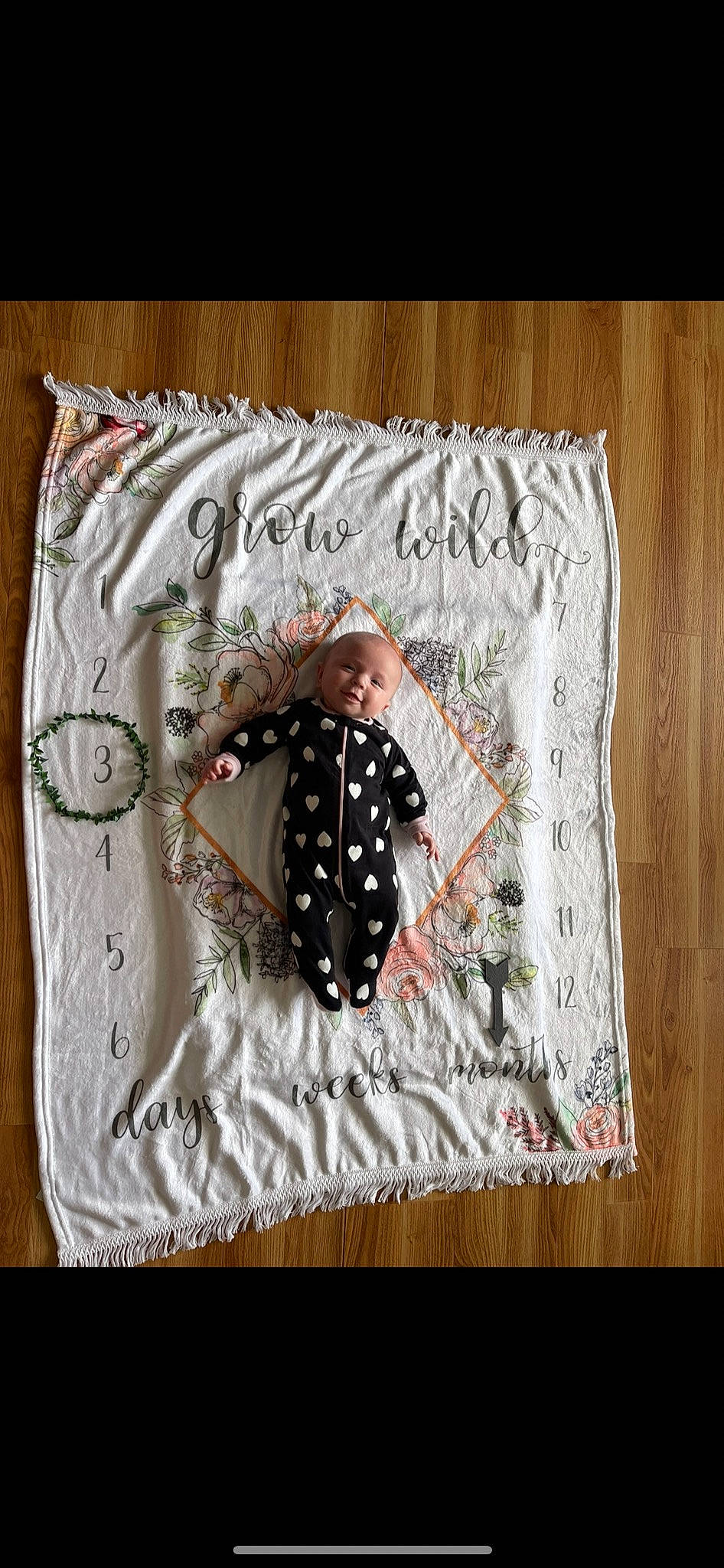 Bethany joined the competition — help win amazing prizes! baby_toddler_clothing, bedding, fashion_accessory, font, fruit, fur, grey, illustration, insect, linens, pattern, person, product, rectangle, room, shorts, sleeve, t_shirt, textile, visual_arts