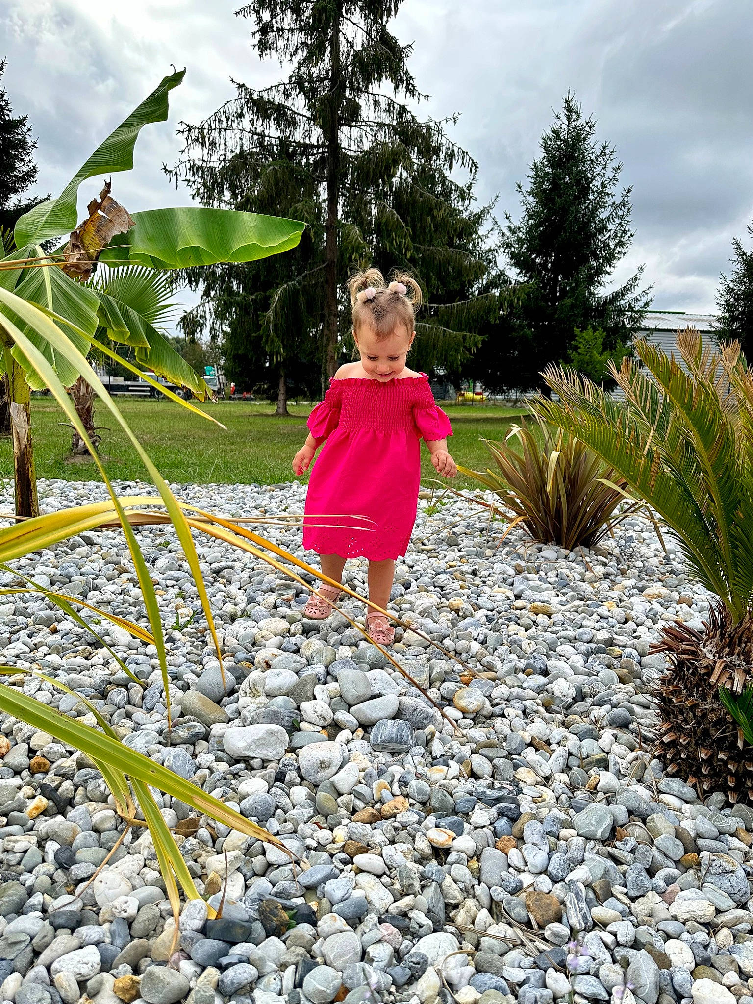Eva participe au concours pour gagner de l'argent avec cette photo : adaptation, arecales, botany, cloud, flower, garden, grass, grass_family, landscape, leaf, leisure, pebble, people_in_nature, person, plant, plant_community, shrub, sky, terrestrial_plant, toddler