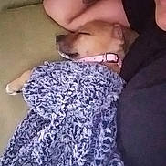 Scarlett joined the competition — help win amazing prizes! finger, gesture, hand, leg, mouth, neck, photography, selfie, sleep