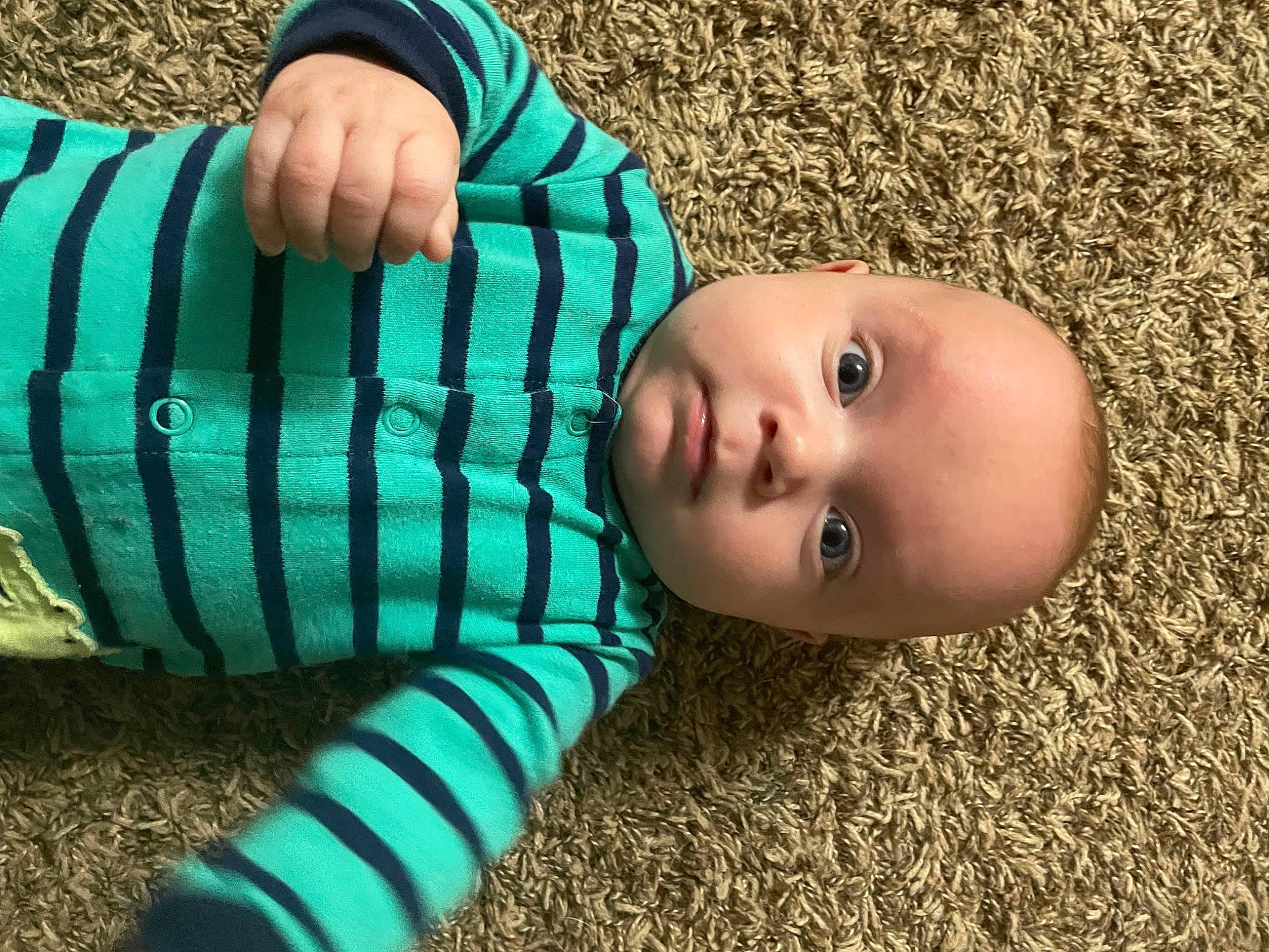 Zachary is registered to the contest to win money with this photo: baby, baby_toddler_clothing, blue, electric_blue, eye, face, fun, grass, human_body, knee, pattern, people_in_nature, person, plant, skin, sleeve, toddler, tree, waist, wood