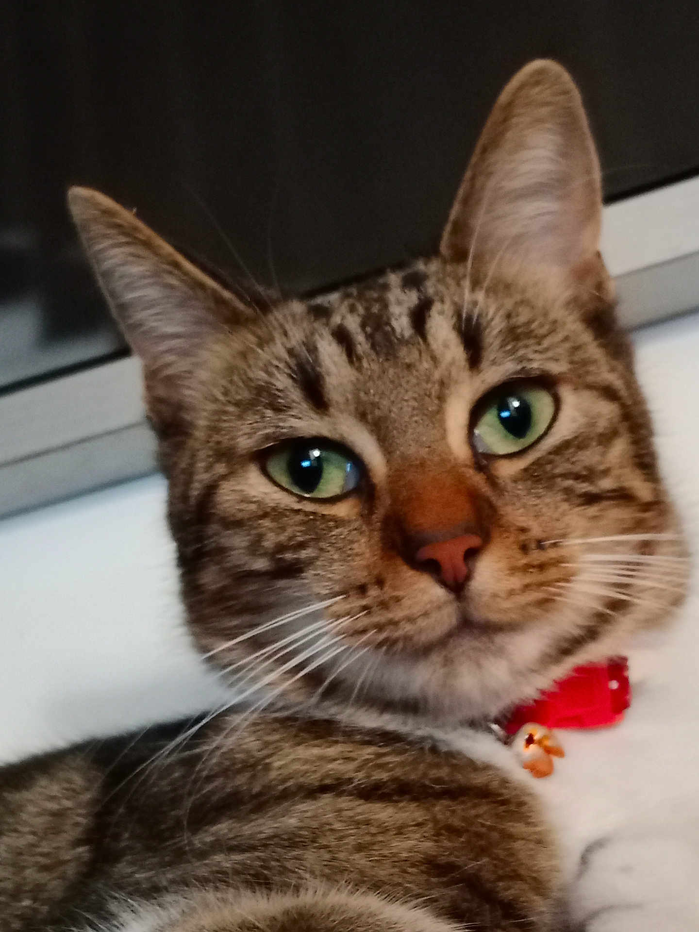 Thelma