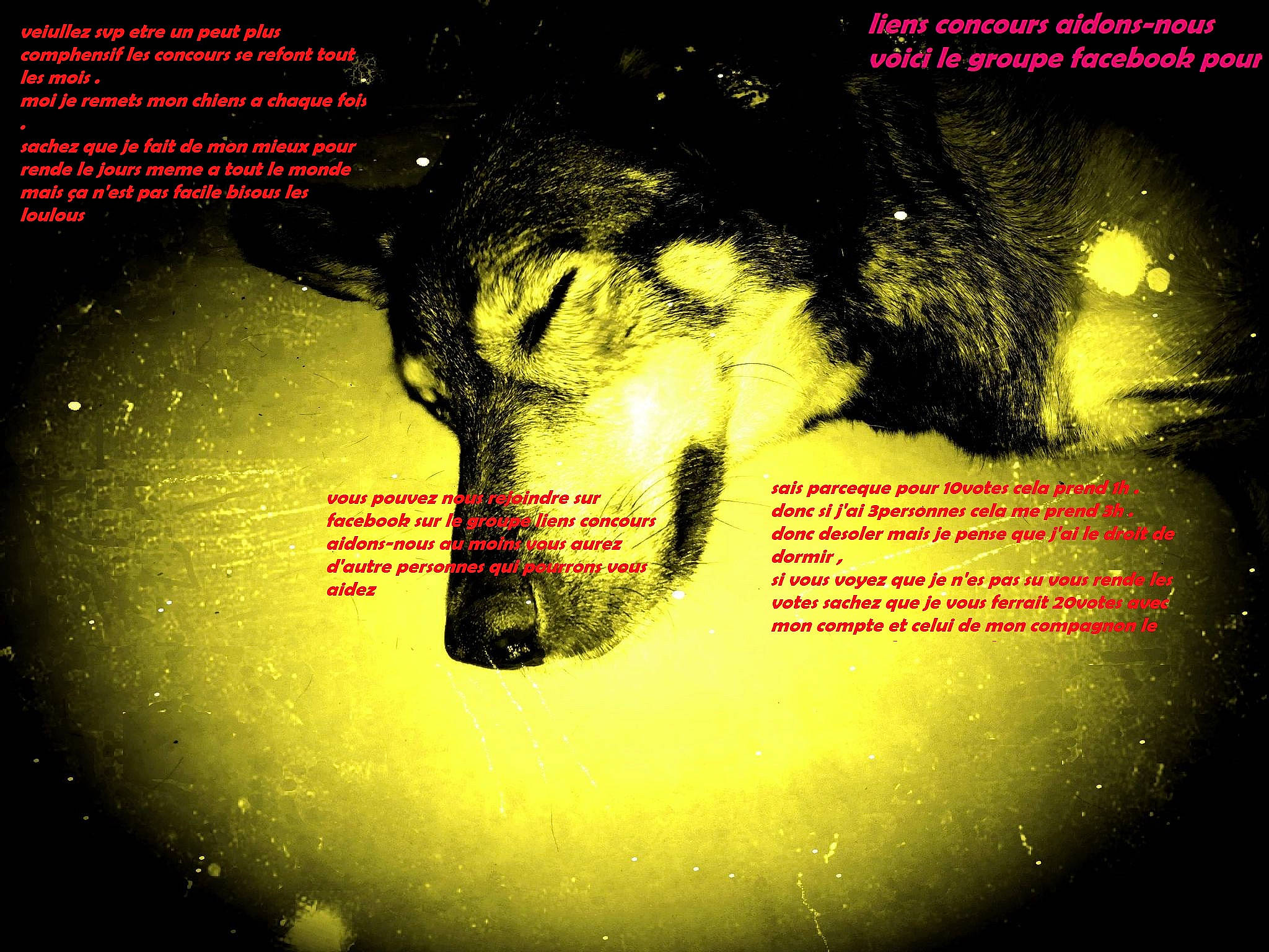 Reina a rejoint le concours — aidez-le/la à gagner de superbes lots ! art, circle, darkness, event, eyelash, font, graphic_design, graphics, heat, poster, science, symbol, visual_arts