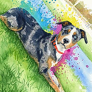 Bean joined the competition — help win amazing prizes! dog, watercolor, painting, grass, stick, colorful_splashes, artistic, animal, pet, outdoor, collar, brown, black, white, blue_eyes, portrait, nature, playful, creative, illustration